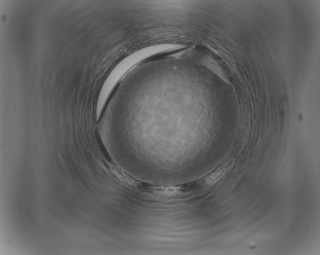 X0000067350288200604131758