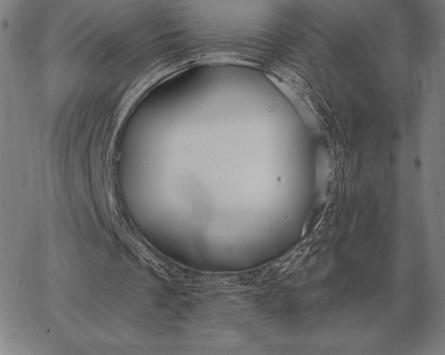 X0000067350289200604131757