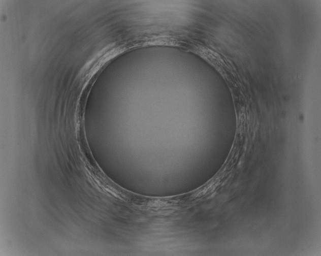 X0000067350290200604131757