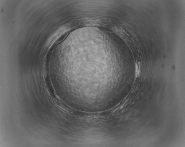 X0000067350291200604131757