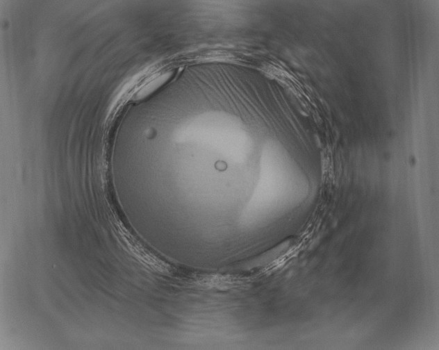 X0000067350293200604131757