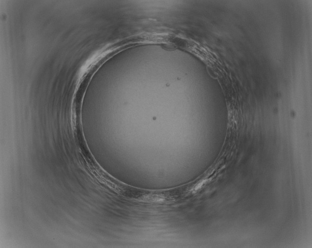 X0000067350294200604131757