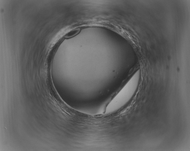 X0000067350295200604131757