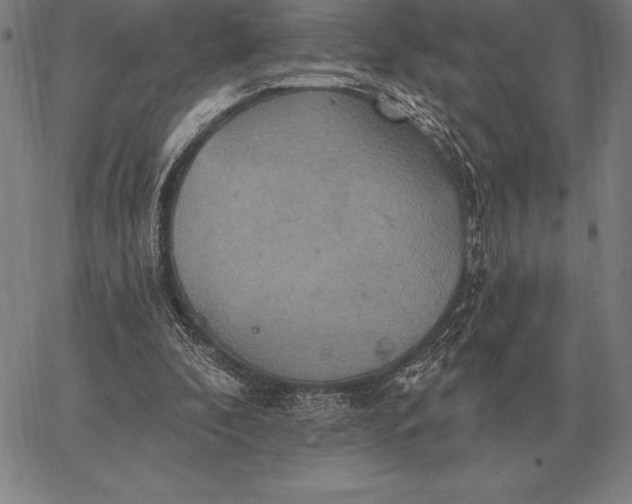 X0000067350296200604131757