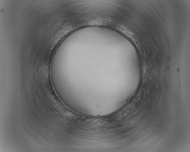 X0000067350297200604131757