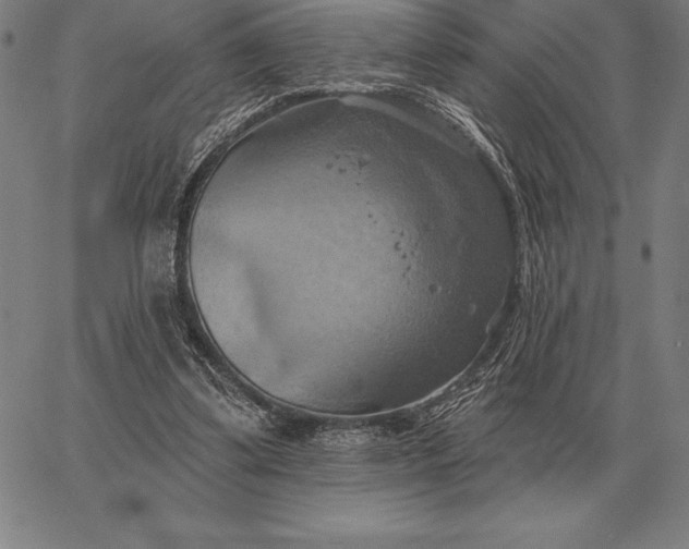 X0000067350299200604131757