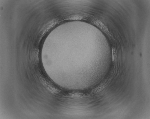 X0000067350300200604131757