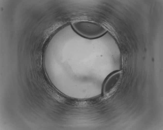 X0000067350301200604131757