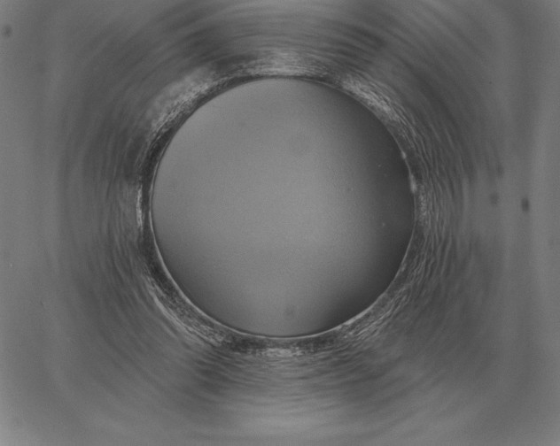 X0000067350302200604131757