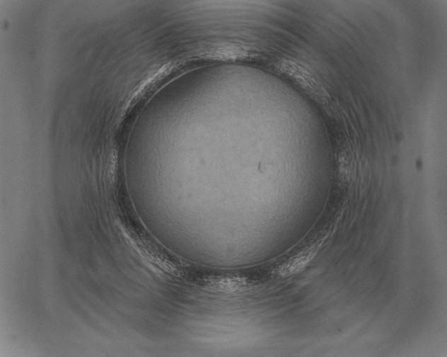 X0000067350304200604131757