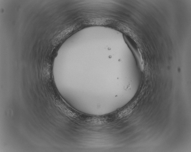 X0000067350305200604131757