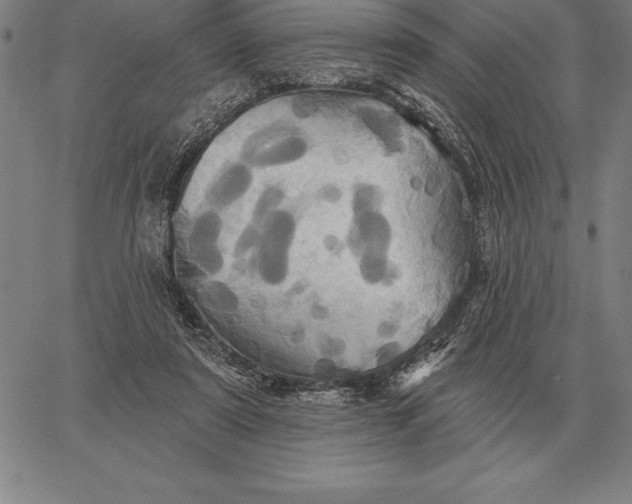 X0000067350307200604131757