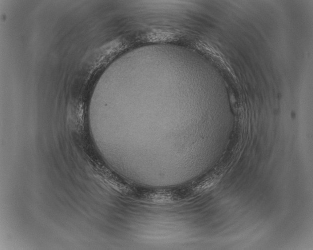 X0000067350308200604131757