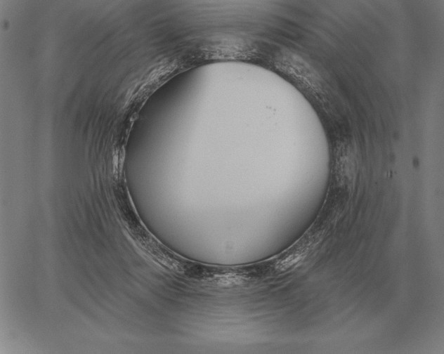 X0000067350310200604131757