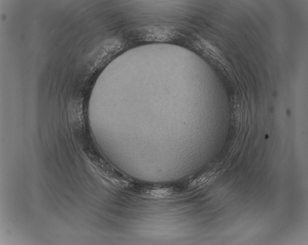 X0000067350312200604131757