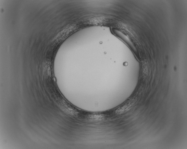 X0000067350313200604131757