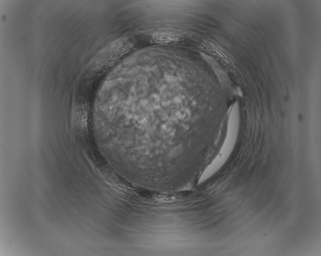 X0000067350315200604131757