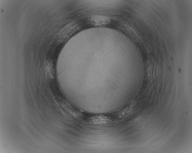 X0000067350316200604131757