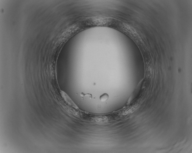 X0000067350317200604131757