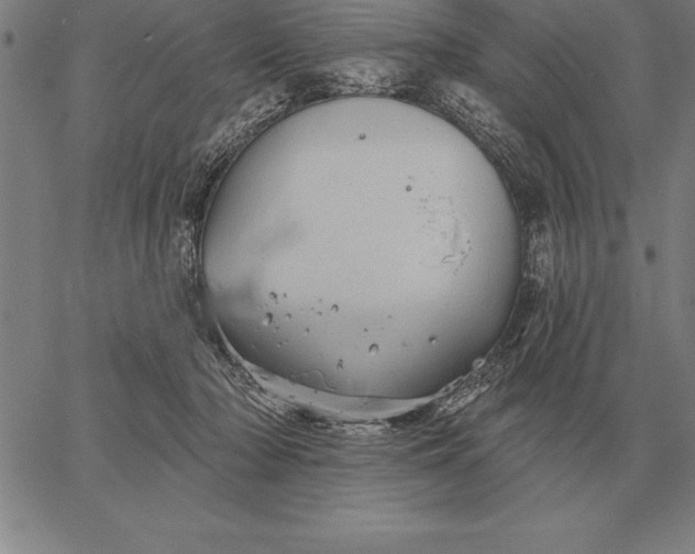 X0000067350318200604131757