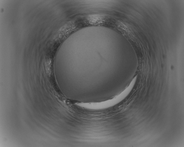 X0000067350319200604131757