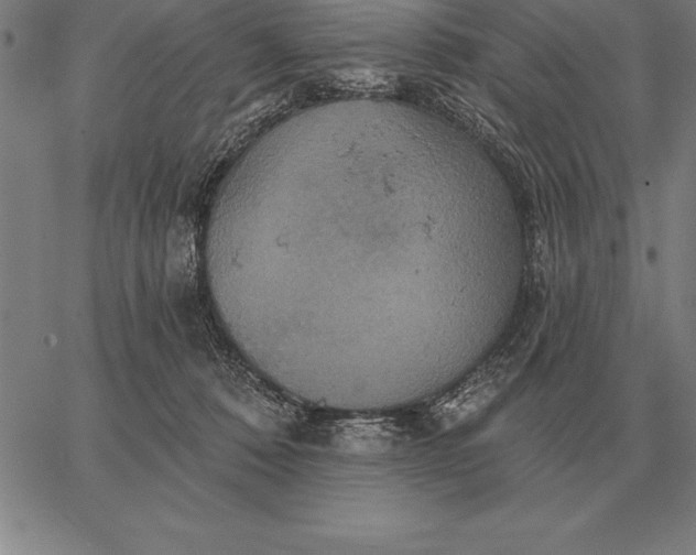 X0000067350320200604131757