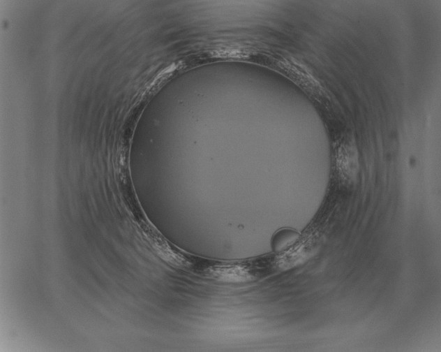 X0000067350322200604131757