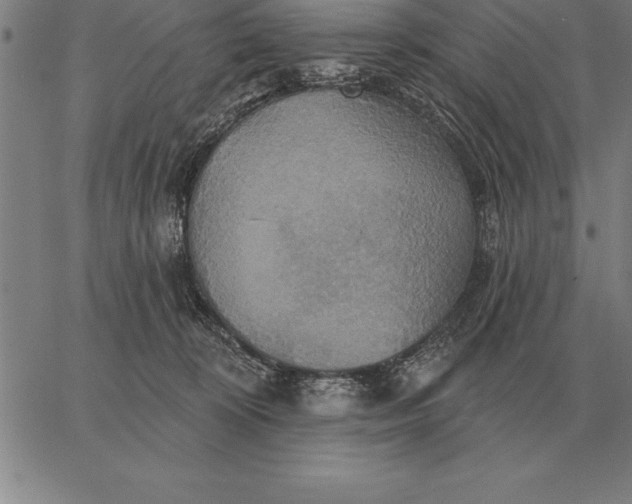 X0000067350324200604131757