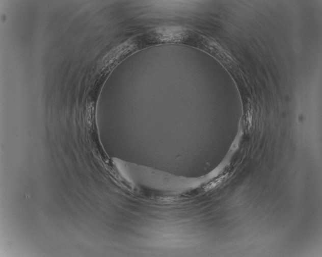 X0000067350325200604131757