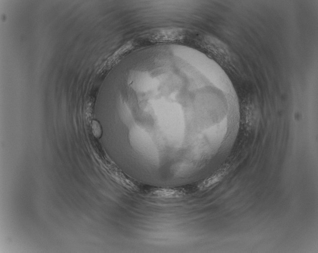 X0000067350326200604131757