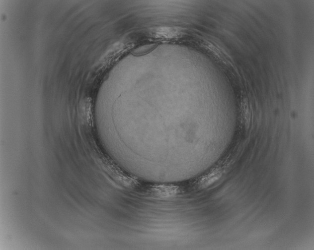 X0000067350328200604131757