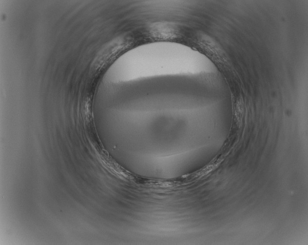 X0000067350330200604131757