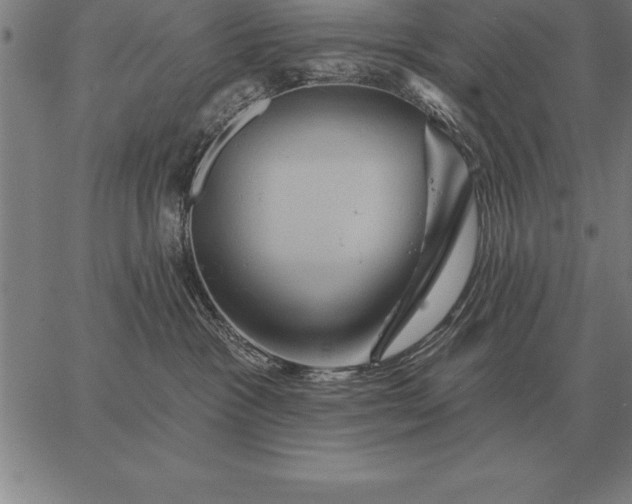 X0000067350333200604131757