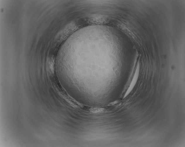 X0000067350334200604131757