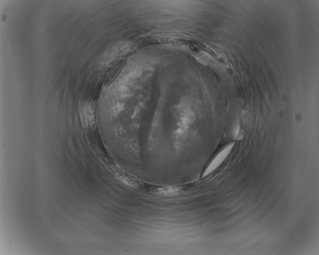 X0000067350335200604131757