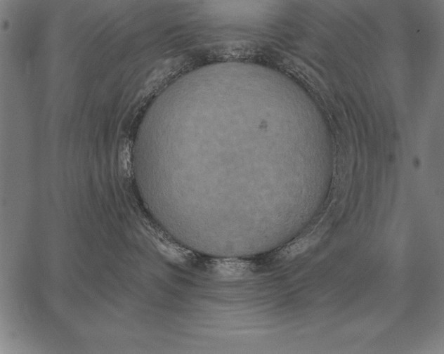 X0000067350336200604131757