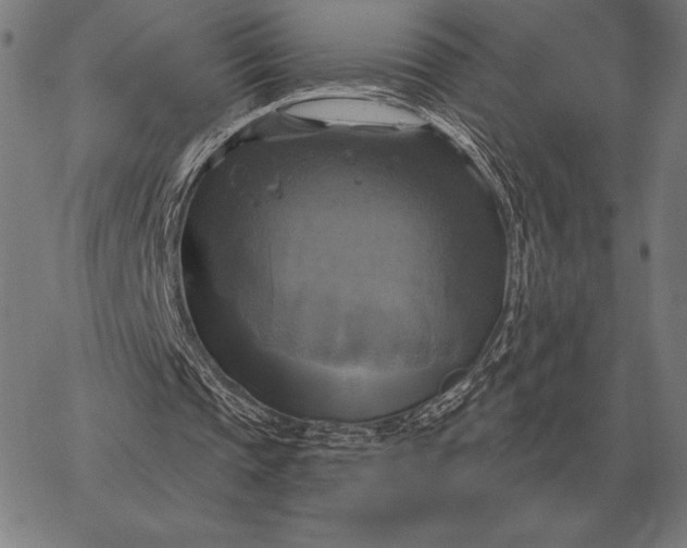 X0000067350337200604131756