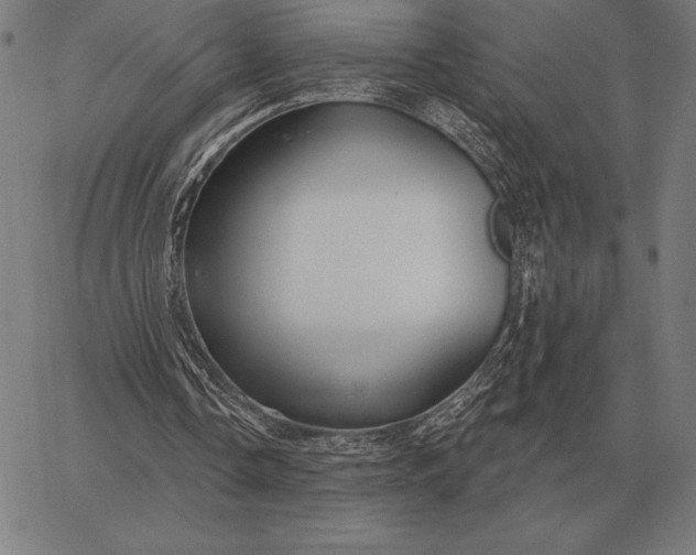 X0000067350338200604131756