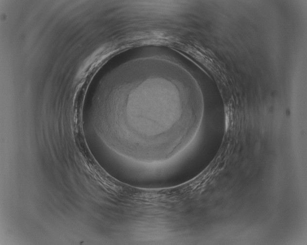 X0000067350339200604131756