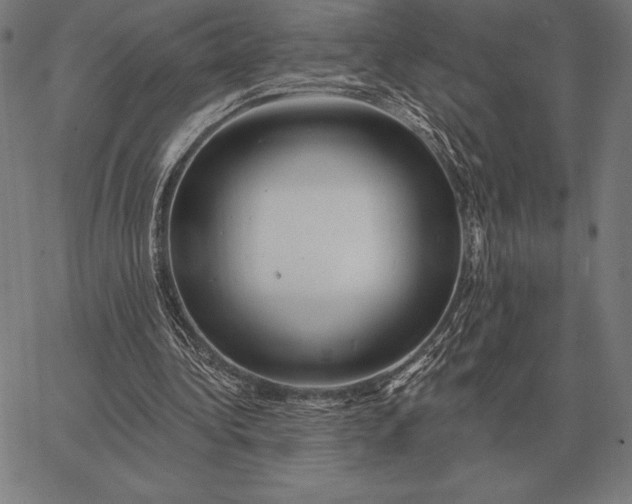 X0000067350340200604131756