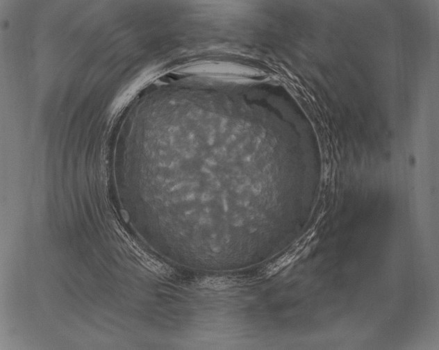 X0000067350341200604131756