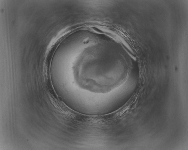 X0000067350343200604131756