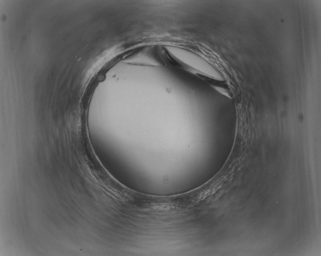 X0000067350344200604131756