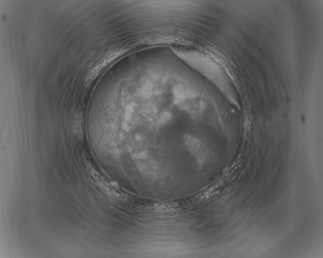 X0000067350345200604131756