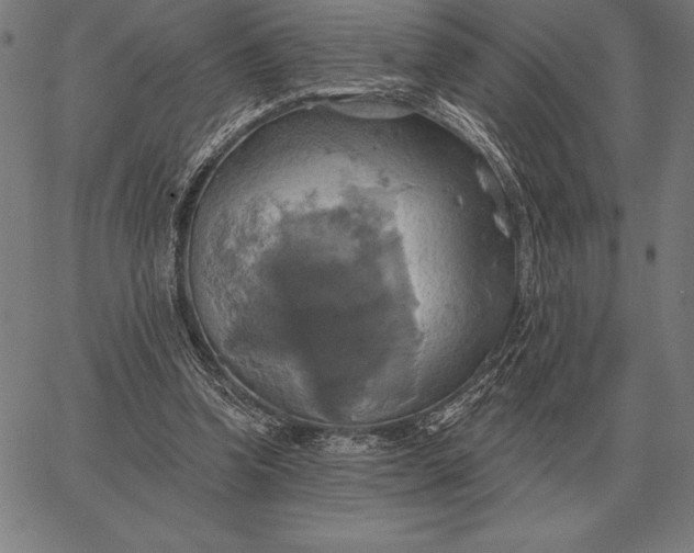 X0000067350346200604131756