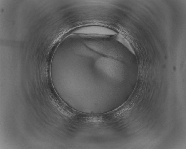 X0000067350347200604131756