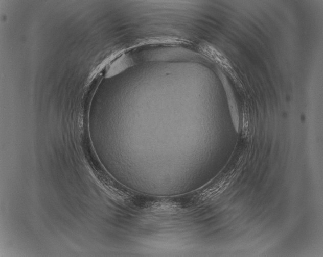 X0000067350348200604131756