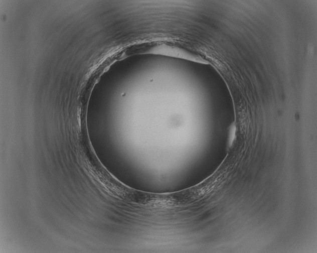 X0000067350350200604131756