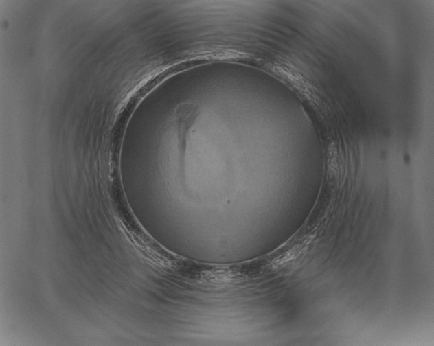 X0000067350351200604131756