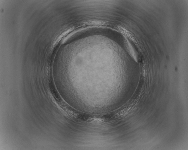 X0000067350352200604131756